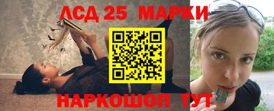 Альфа ПВП Новодвинск