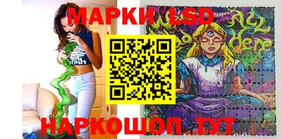 Альфа ПВП Новодвинск