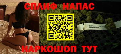 Альфа ПВП Новодвинск