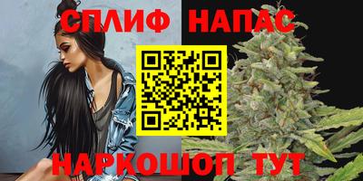 Альфа ПВП Новодвинск