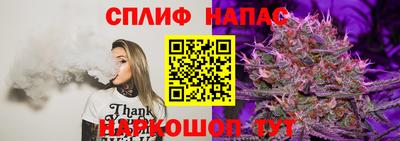 Альфа ПВП Новодвинск