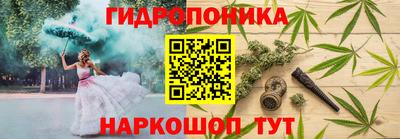 Альфа ПВП Новодвинск